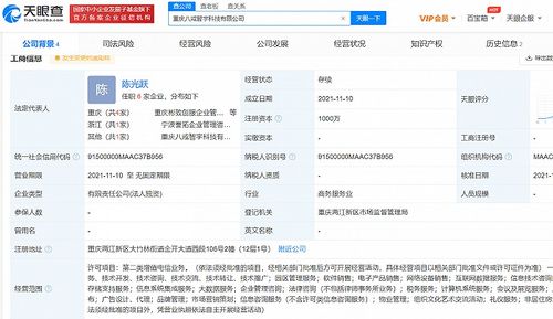 豬八戒網成立新公司，注資千萬加碼互聯網數據服務